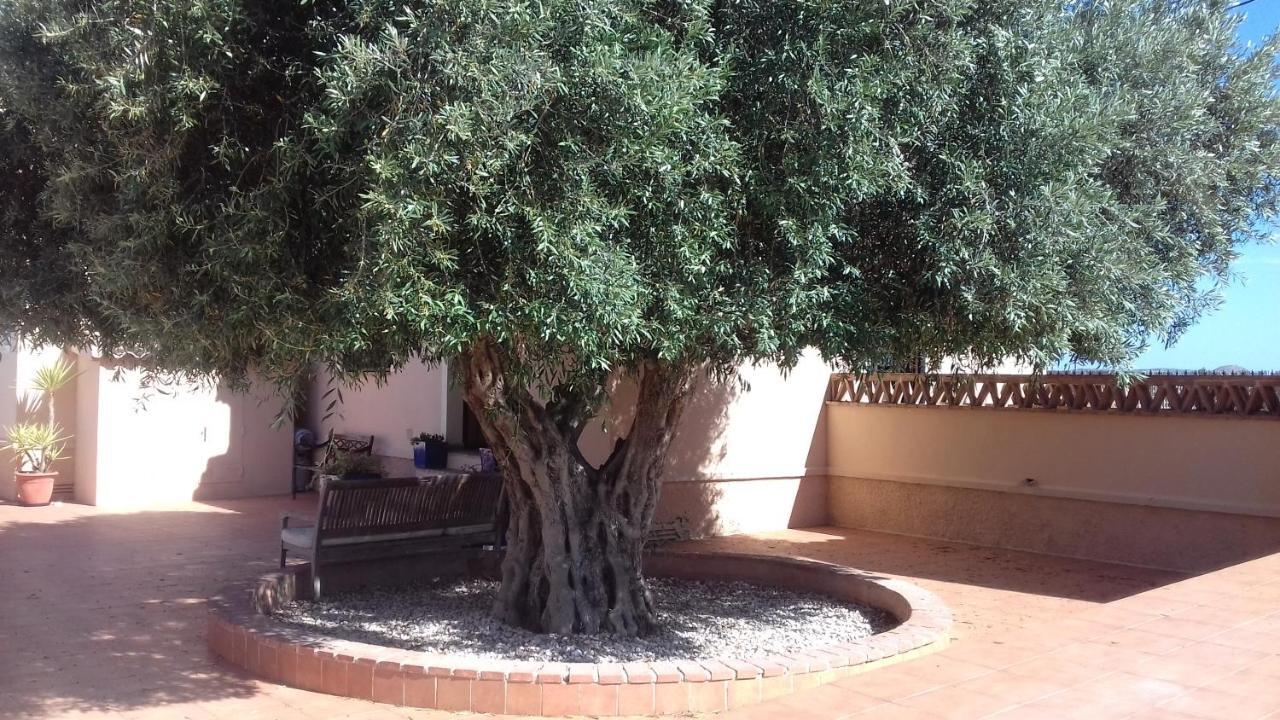 Finca Milagro Βίλα San Fulgencio Εξωτερικό φωτογραφία